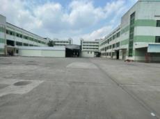 塘厦桥陇一楼2300厂